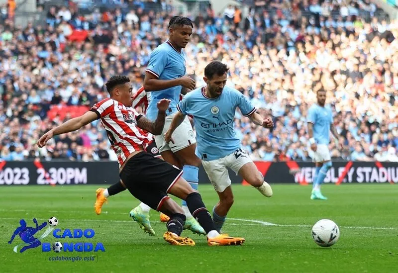 Một số loại kèo được nhận định Các loại kèo được nhận định