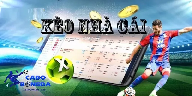 Các yếu tố ảnh hưởng đến kèo nhà cái