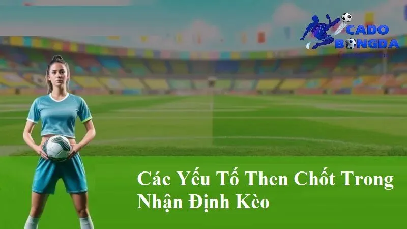 các yếu tố then chốt ảnh hưởng đến nhận định kèo Các yếu tố then chốt trong nhận định kèo