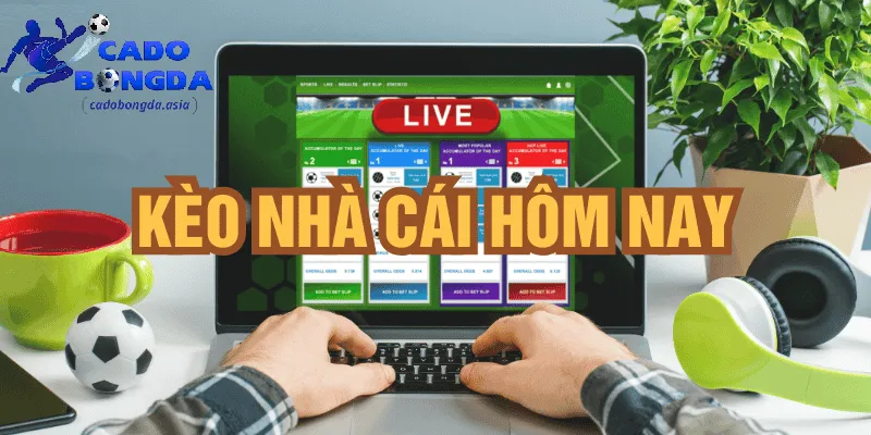 Đánh giá tỷ lệ kèo do nhà cái đưa ra
