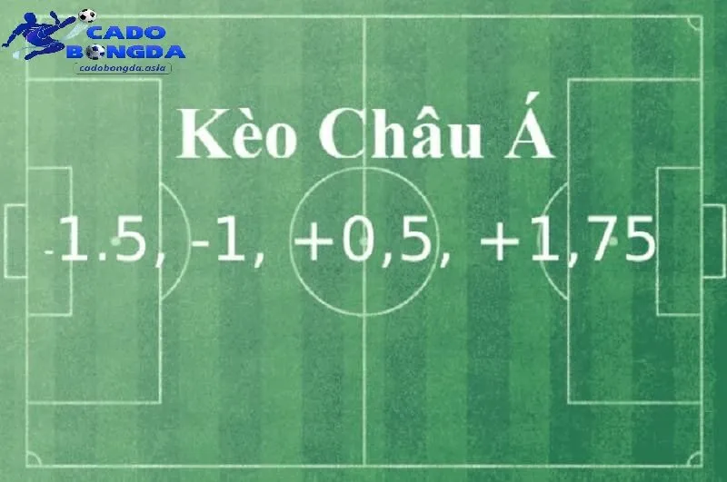 Nhận định đưa ra kết quả nhanh chóng Đưa ra nhận định khách quan