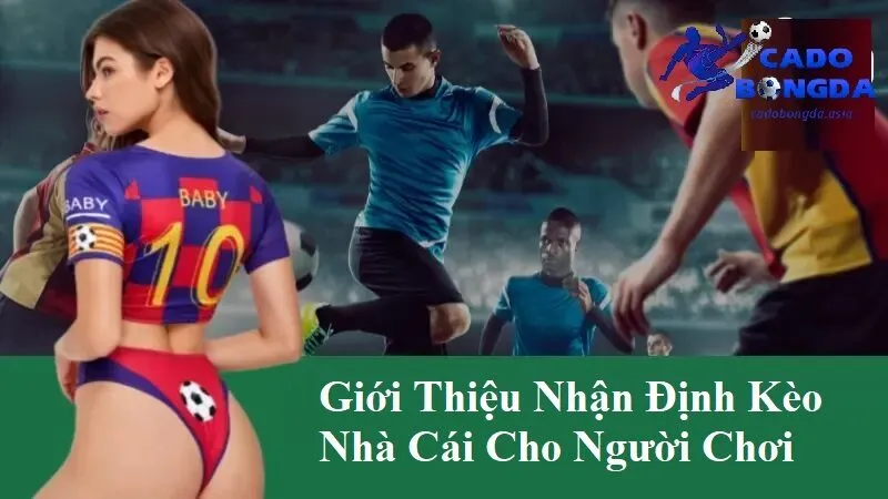Giới thiệu nhận định kèo nhà cái cho người chơi