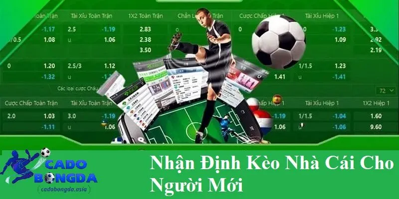 Tổng quan nhận định kèo nhà cái cho người mới Giới thiệu nhận định kèo nhà cái cho người mới