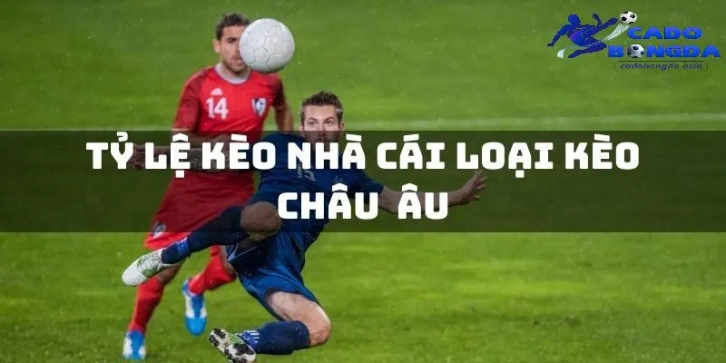 Hiểu hơn về các giải đấu và đưa ra chiến lược phù hợp cho người chơi Hiểu hơn về các giải đấu và đưa ra chiến lược phù hợp