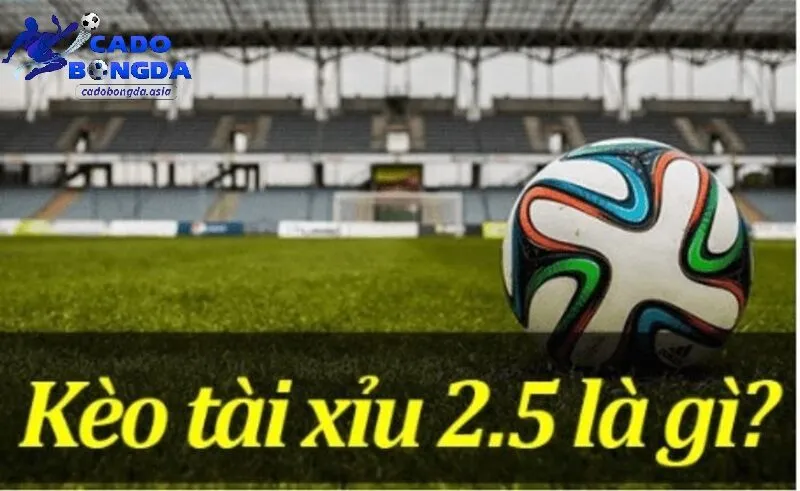 Kèo tài xỉu 2.5 là gì?