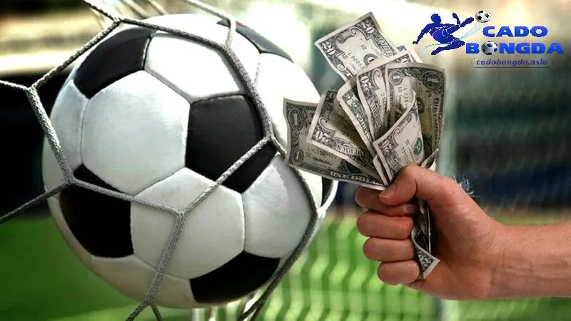 Tìm hiểu kỹ thông tin trước trận đấu Nghiên cứu kỹ trận đấu trước khi đặt kèo