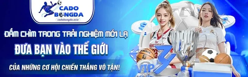 Nhận định kèo nhà cái là gì?