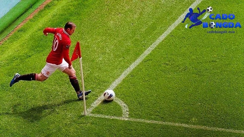 Một số nhận định từ chuyên gia Nhận định kèo phạt góc đến từ chuyên gia