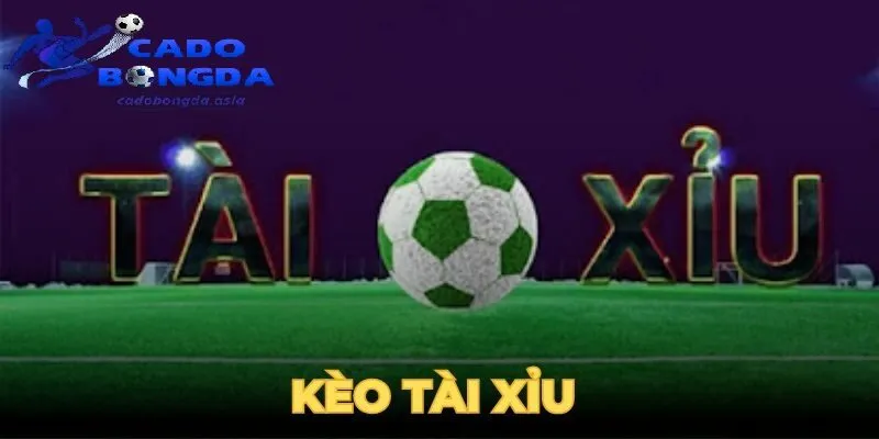 Những yếu tố quan trọng tác động đến tỷ lệ thắng kèo