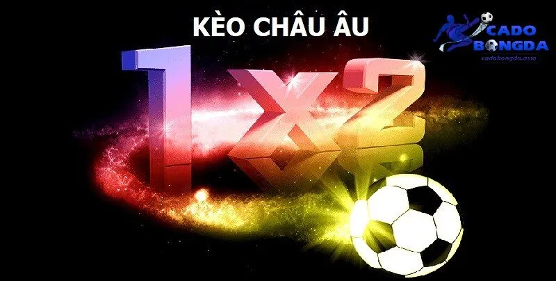 Phân tích toàn diện rồi đưa ra phán đoán Phân tích toàn diện rồi đưa ra nhận định