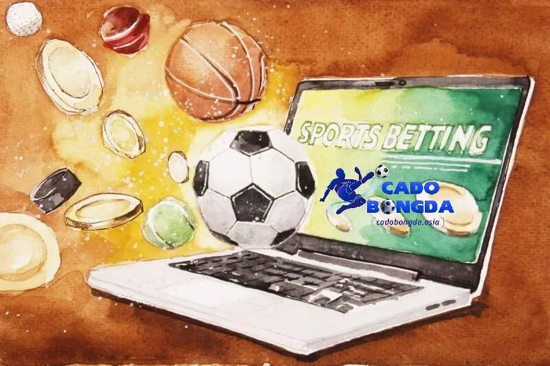 Các bước nhận định kèo nhà cái cho người mới Quy trình nhận định kèo cơ bản cho người mới