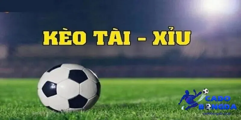 Tổng quan về kèo tài - xỉu cho người chơi