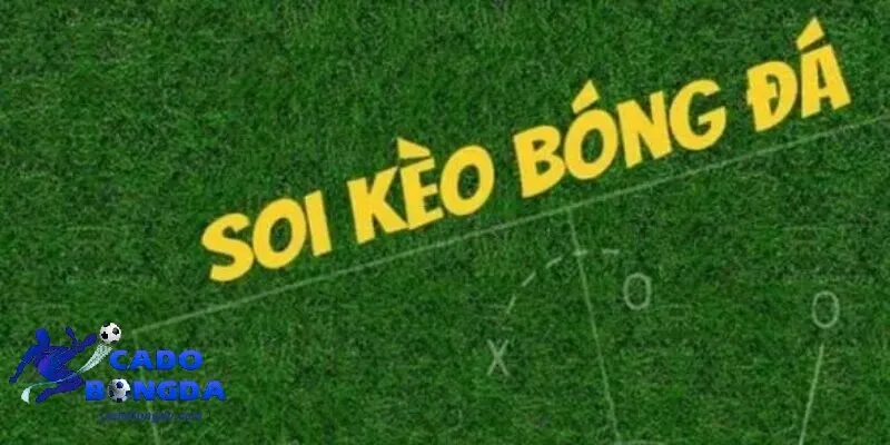 Soi kèo bóng đá là gi? Tổng quan về soi kèo bóng đá