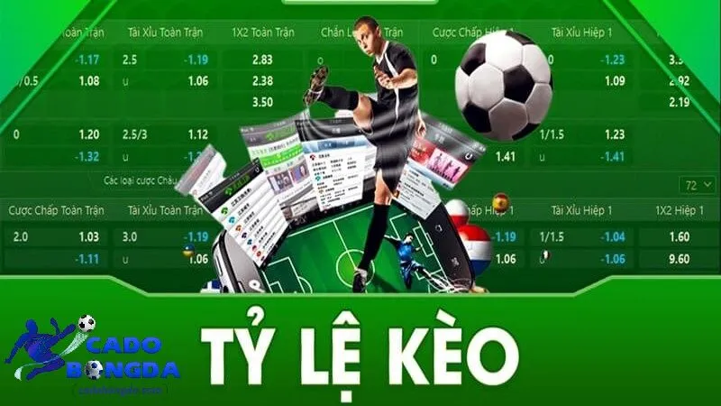 Tỷ lệ kèo là gì? Tổng quan về tỷ lệ kèo